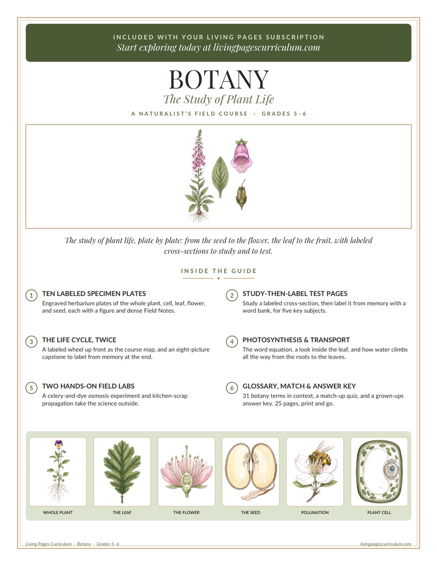 Premium · Botany: The Study of Plant Life