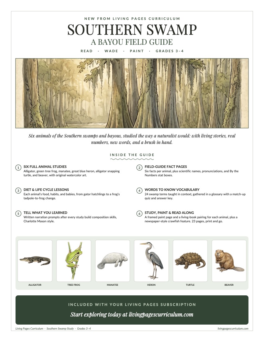 Premium · Animal Study: Southern Swamp